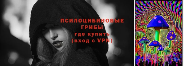 ГАЛЛЮЦИНОГЕННЫЕ ГРИБЫ Абинск