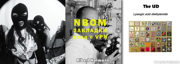 хмурый Алзамай