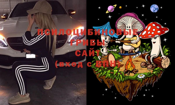 ГАЛЛЮЦИНОГЕННЫЕ ГРИБЫ Абинск
