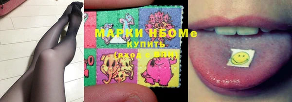 хмурый Алзамай