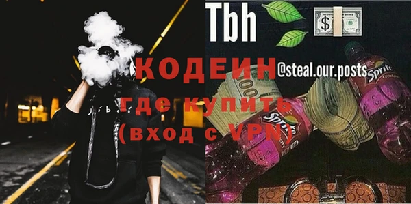 хмурый Алзамай
