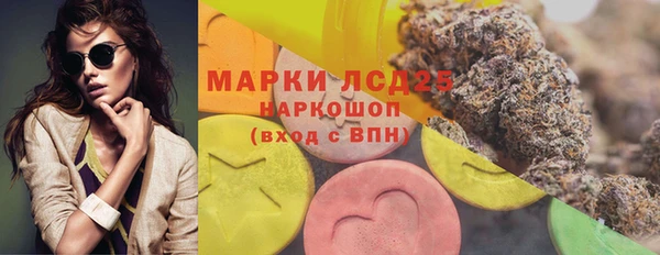 ГАЛЛЮЦИНОГЕННЫЕ ГРИБЫ Абинск