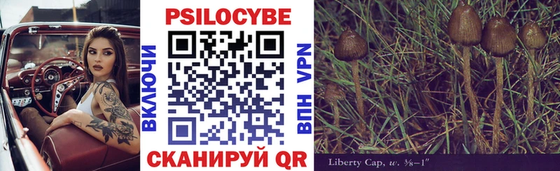 Псилоцибиновые грибы Psilocybe  Сухой Лог 