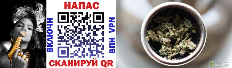 купить   Сухой Лог  Бошки Шишки Ganja 